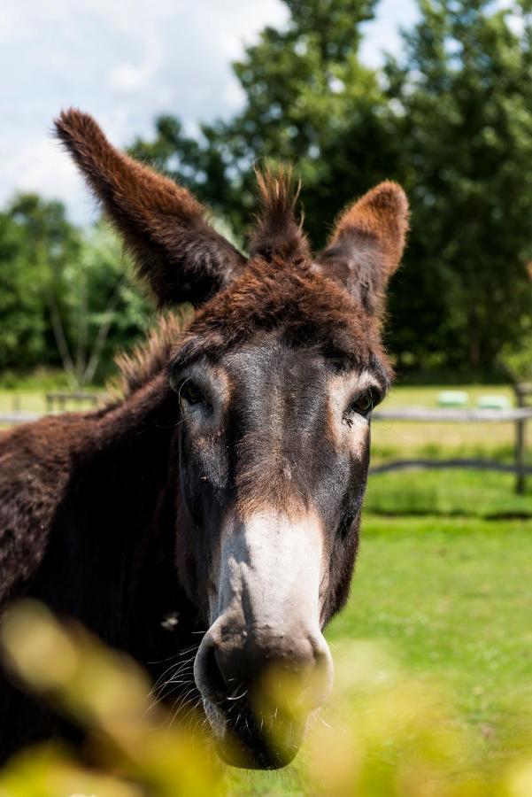 B&B Hier En Nu Heusden エクステリア 写真