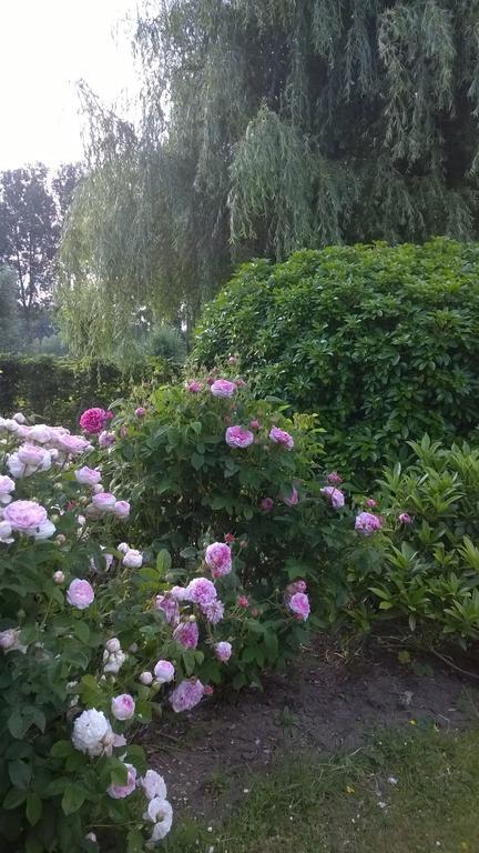 B&B Hier En Nu Heusden エクステリア 写真