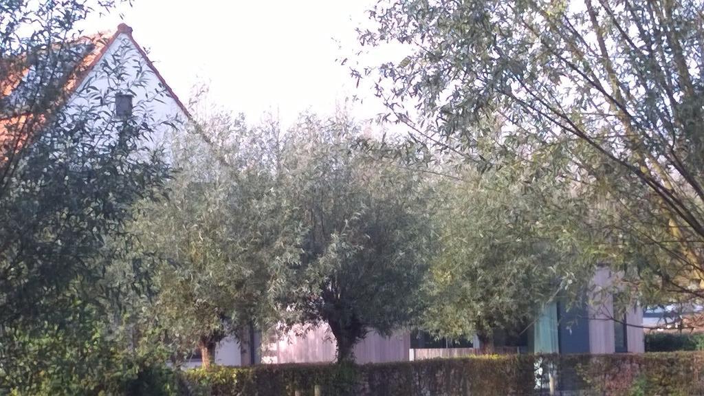 B&B Hier En Nu Heusden エクステリア 写真