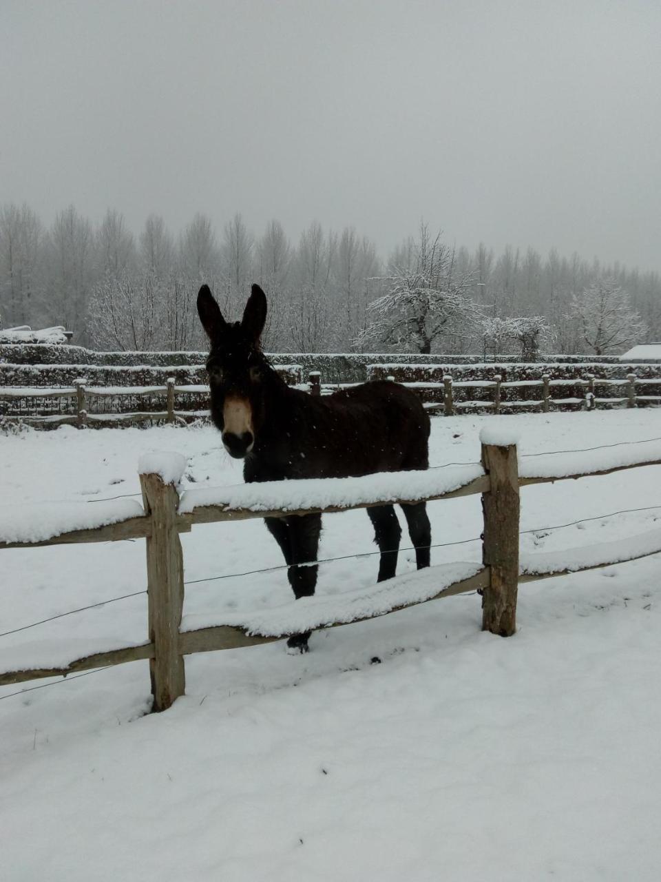 B&B Hier En Nu Heusden エクステリア 写真
